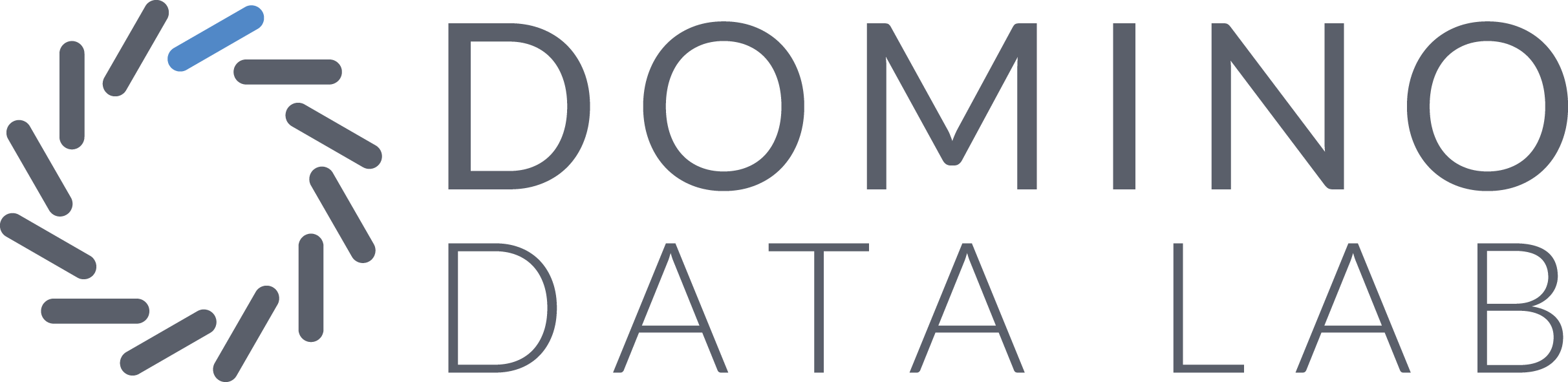 Domino Data Lab